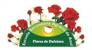 Flores de Dulcinea: muestra y concurso de rosas, arreglos florales con rosas y algo más en nuestra casa propia