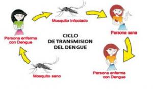 Prevenci�n del Dengue