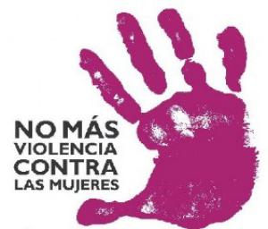 25N: D�a Internacional de Eliminaci�n de la Violencia contra la Mujer a la Plaza